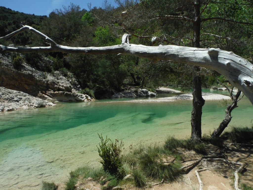 Fuente-de-Tamara-Morrano--canyoning-sierra-de-guara